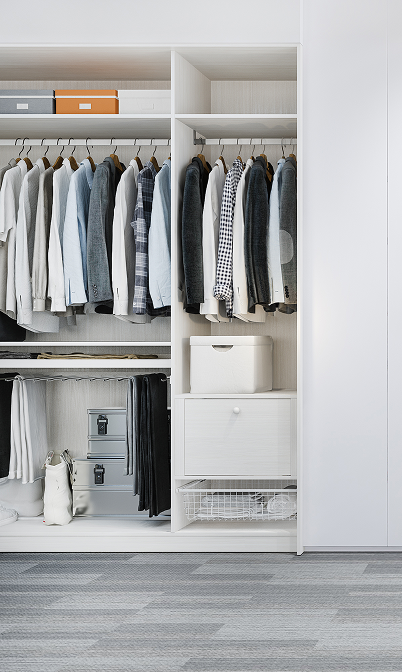 Immaculate wardrobe with crisp hanging clothes